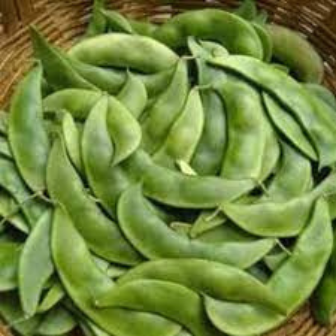 Seegreen Beans / Sem 1Kg